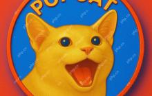 Popcat（SOLX）正在成为值得关注的Solana Meme Coin的出现 - 专家们称其为下一个Fartcoin