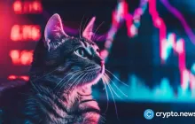 Popcat（popcat）正在展示生命的早期迹象，因为它在两个月以上没有清除的水平上都表现出来