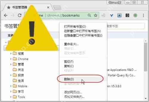 谷歌浏览器书签不见了怎么解决？