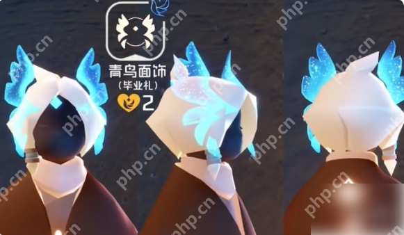 光遇青鸟季毕业礼是什么 光遇青鸟季毕业礼介绍