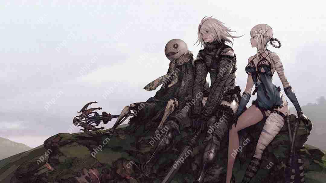 横尾太郎首度松口谈及《尼尔》续作：最想尝试的项目