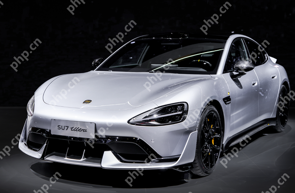 2025Q1中国中大型轿车销量排名：小米SU7断层领先