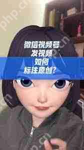 微信视频号为何找不到原创标签