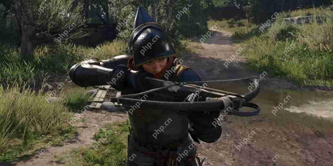 新游和《天国：拯救2》DLC并行开发 战马工作室首度透露新项目动向