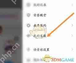 tt语音如何隐藏在线状态
