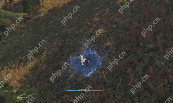 逆水寒手游猪猪迷踪奇遇怎么做  逆水寒手游猪猪迷踪奇遇攻略