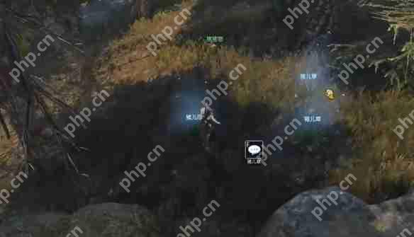 逆水寒手游猪猪迷踪奇遇怎么做  逆水寒手游猪猪迷踪奇遇攻略