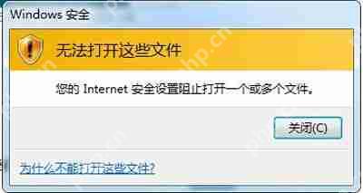 Internet安全设置阻止打开一个或多个文件的解决方法