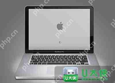 苹果MacBook笔记本电脑怎么用快捷键U盘启动 U盘一键启动步骤