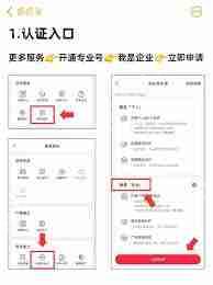 小红书专业号认证怎么修改头像