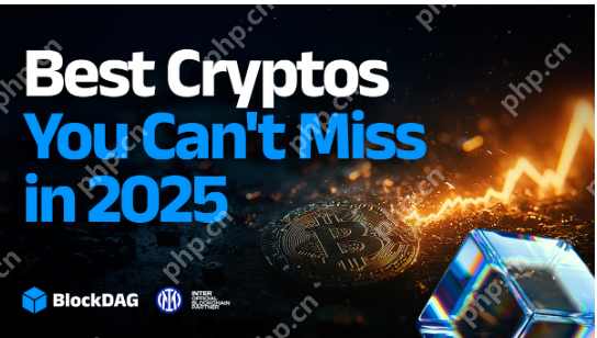 寻找最好的加密硬币购买的是加热