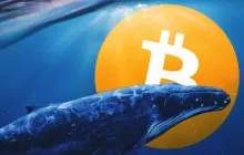 比特币鲸正在醒来：大量的积累信号传入波动率