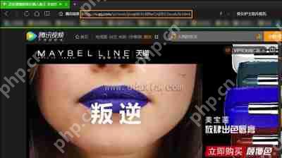 视频网站VIP电影怎么免费看 破解VIP电影的操作方法