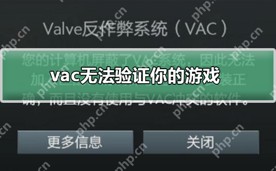 vac无法验证你的游戏_vac无法验证你的游戏解决方法