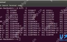 Linux使用kill命令的注意事项介绍