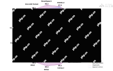 Kimi-Audio— Moonshot AI 开源的音频基础模型