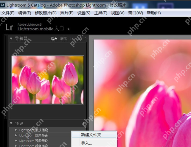 lightroom怎么导入预设