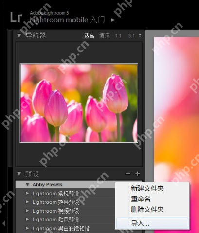 lightroom怎么导入预设