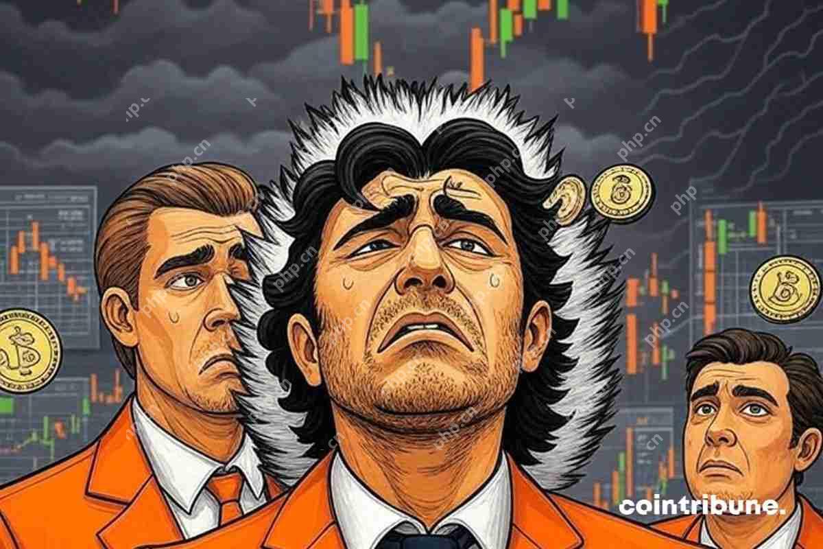 关于押注锁定令牌的投资者来说，加密市局势临着一个淡漠的践诺。