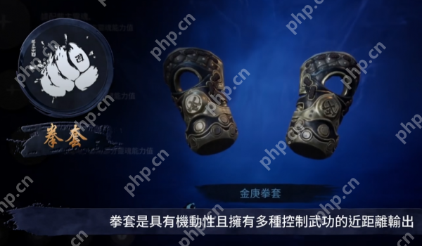 剑灵2拳师怎么样  剑灵2拳师职业介绍