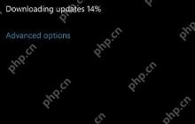 Windows 10最新版曝光：微软打鸡血