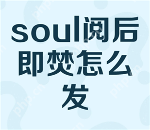 soul阅后即焚图片怎么发 soul阅后即焚开启方法怎么没找到