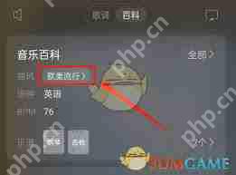 网易云音乐如何查看歌曲曲风