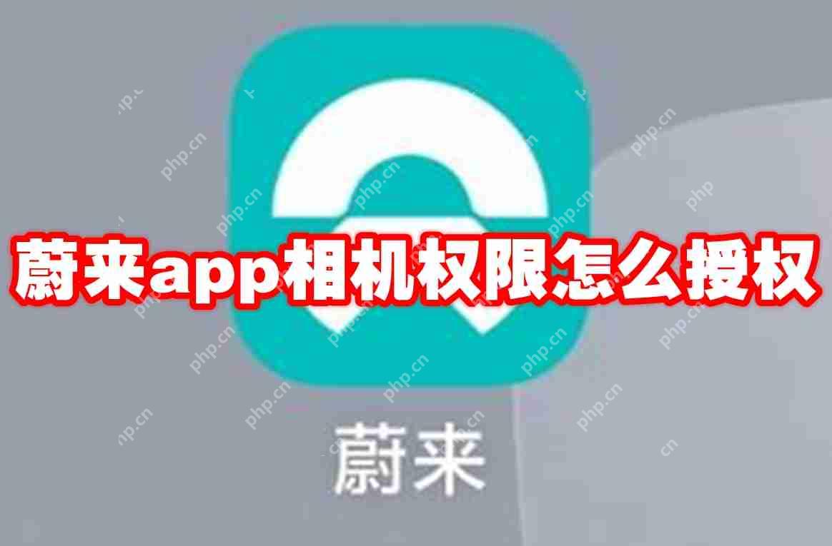 蔚来app相机权限怎么授权