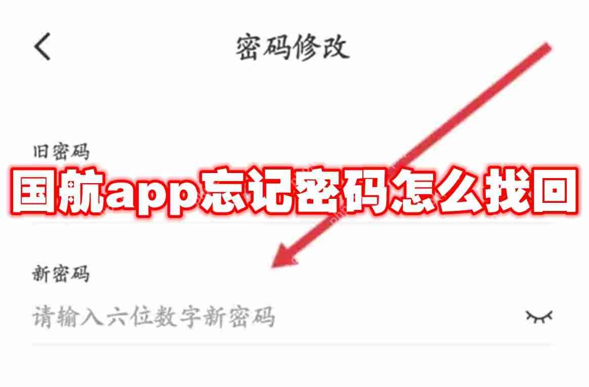 国航app忘记密码怎么找回