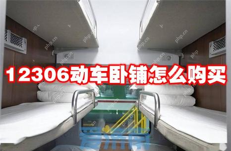 12306动车卧铺怎么购买