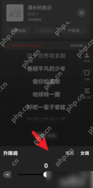 全民k歌什么音效比较好听