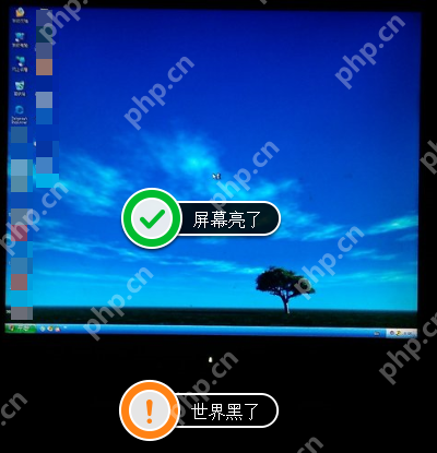 显示器无信号,详细教您电脑显示屏不显示怎么修复