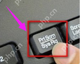 主编教您电脑怎么使用快捷键截图