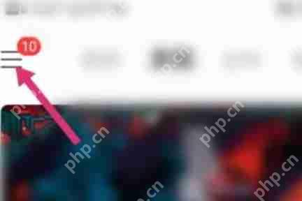 网易云音乐怎么设置不被其他应用中断播放