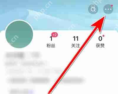 快手极速版弹幕怎么开启