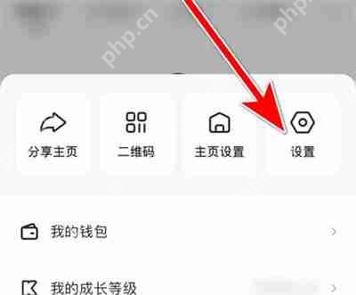 快手极速版弹幕怎么开启