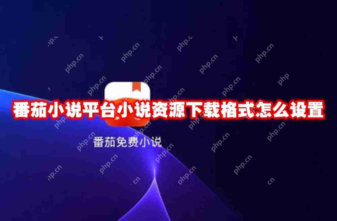 番茄小说平台小说资源下载格式怎么设置