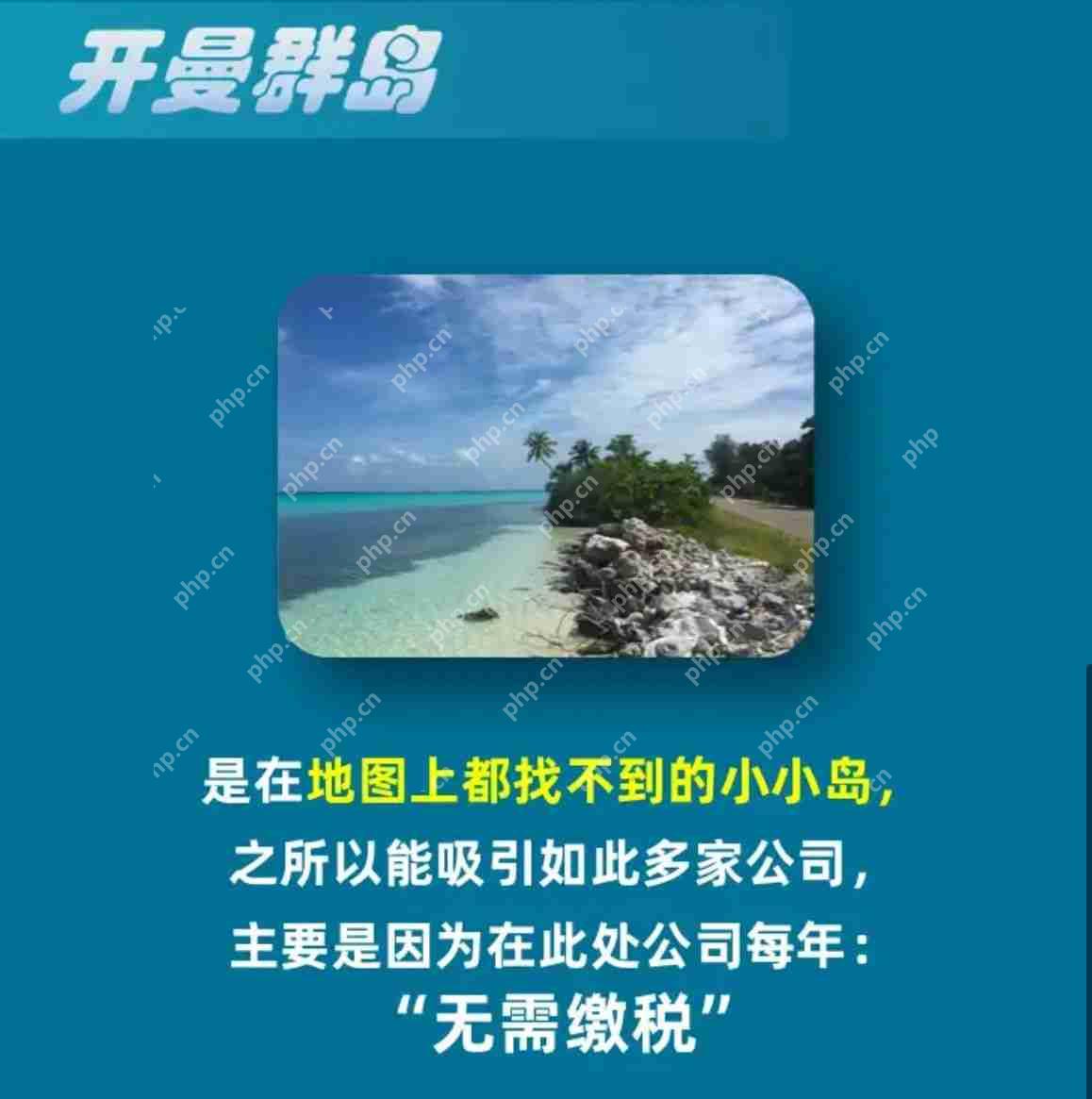 淘宝大赢家12月12日答案