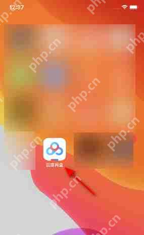 百度网盘尊享图标怎么设置