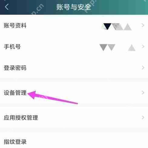 爱奇艺主设备怎么设置