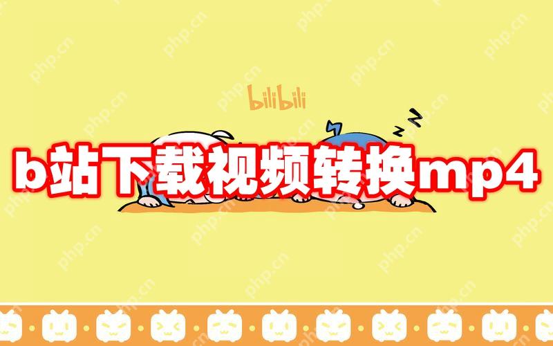 b站下载视频转换mp4