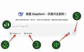 怎样用deepseek满足我的需求