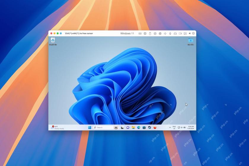 Parallels Desktop 20.3 Meningkatkan Sokongan Tunnel Video dan USB