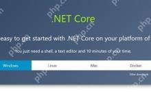 微软跨平台.NET Core 2.0版发布