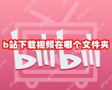 b站下载视频在哪个文件夹