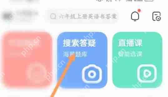 作业帮英语怎么翻译
