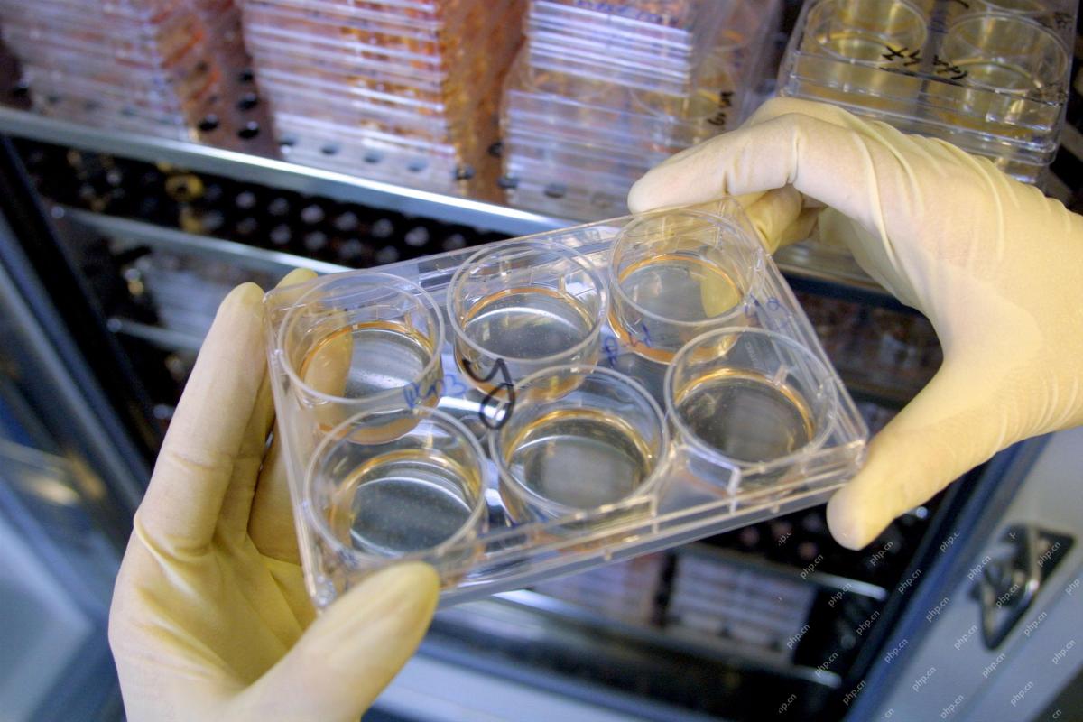 How AI Is Accelerating The Future Of Regenerative Medicine