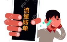 手机流量怎么算,小编告诉你手机流量计算方式