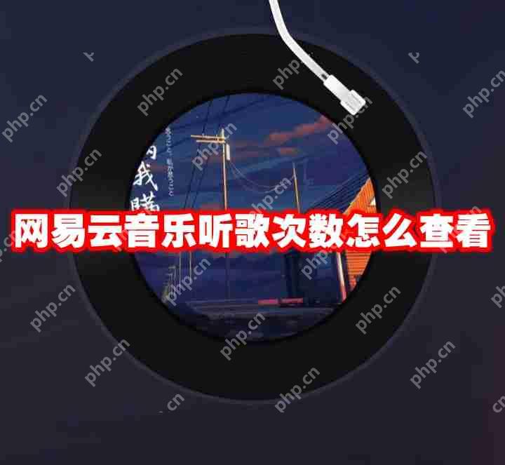 网易云音乐听歌次数怎么查看