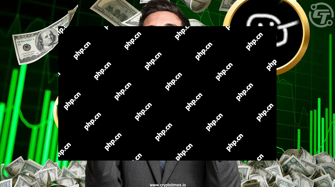 Gork Meme Coin Soars Soars 60000％，一位交易员将其1513美元转换为29.5万美元